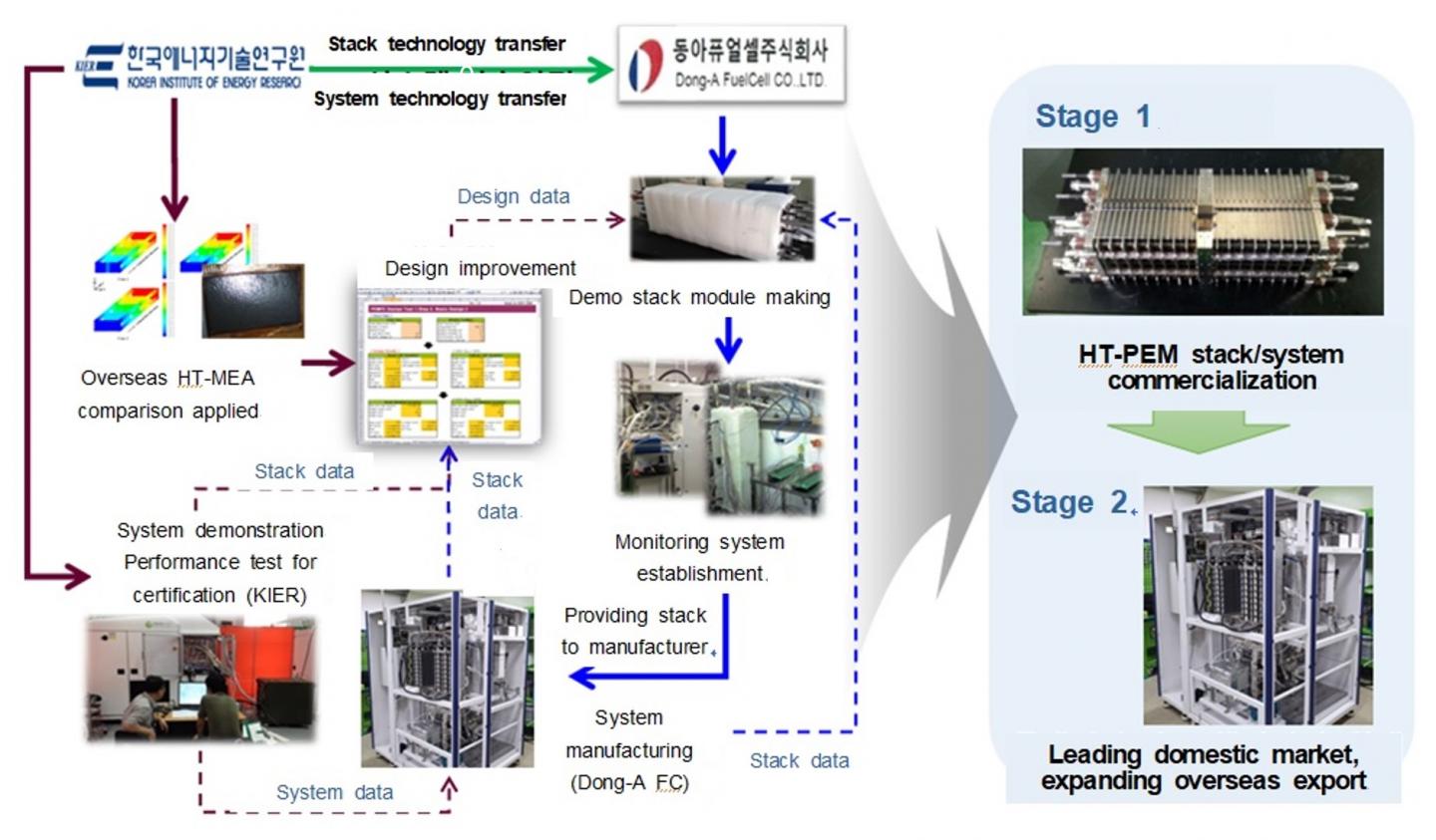 Cooperation Strategy