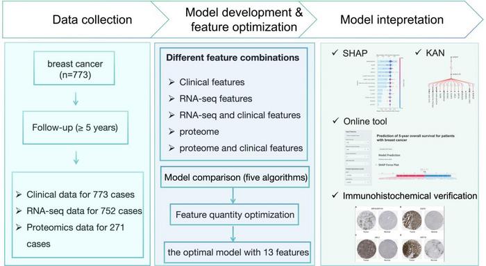 The workflow of the study