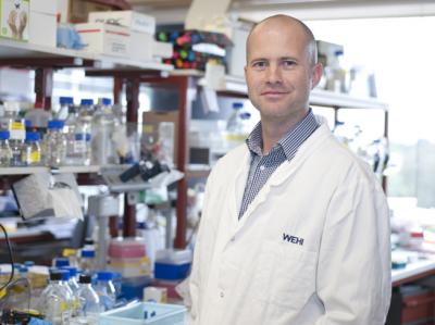 Dr. Benjamin Kile, Walter and Eliza Hall Institute