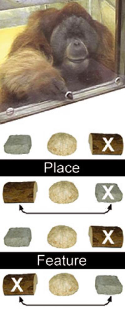 Test Conditions