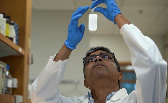 Stowers Scientists Reveal How the Brain Stores Long-Lasting Memories