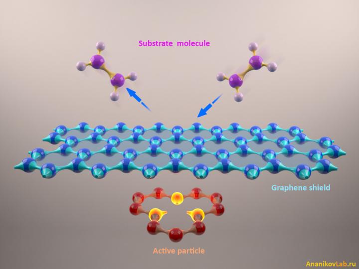 Graphene Layer