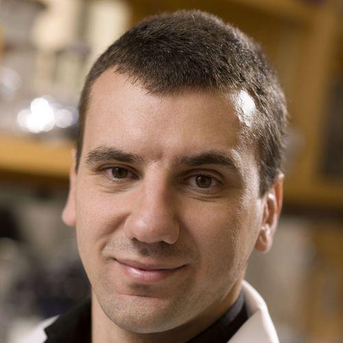 Dr. Marco Sardiello, Baylor College of Medicine 