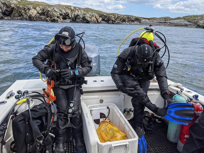 Ram Island Dive Survey