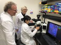 Robbins Senger Lab