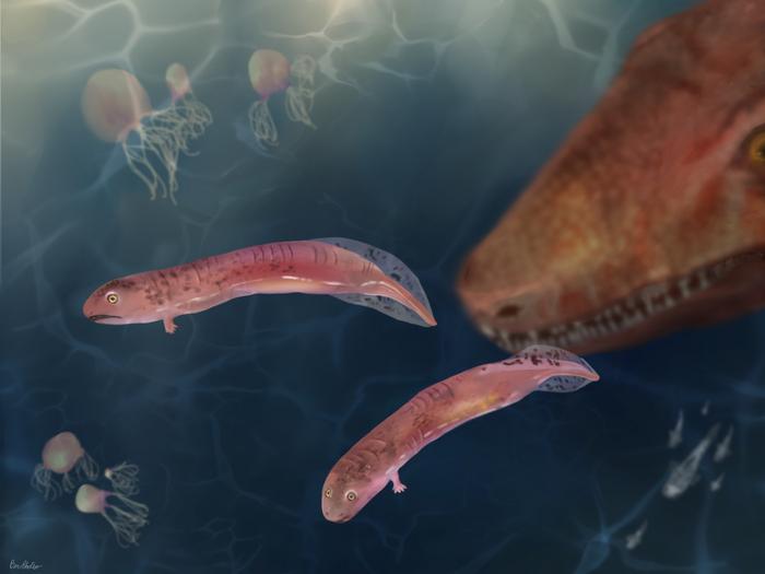 Illustration