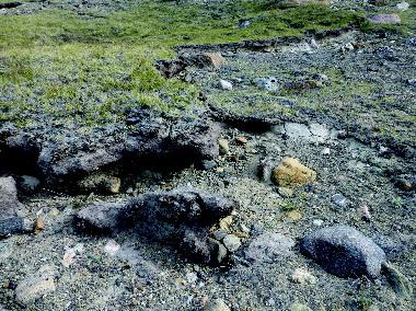 Dartmouth Greenland Wind Soil Study