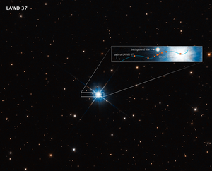 HUBBLE OBSERVATIONS USED TO MEASURE MASS OF LONE WHITE DWARF STAR LAWD 37