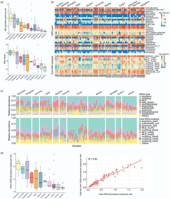 Profiles of ARG abundance and diversity across samples.