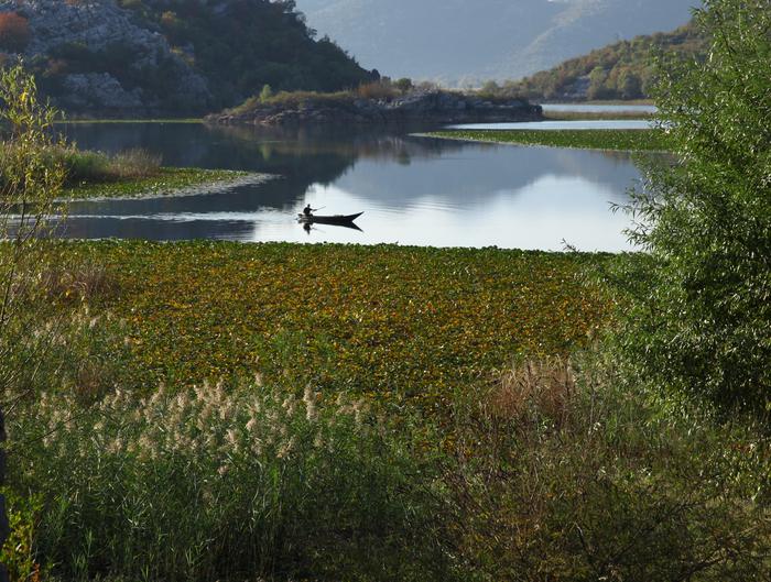 Skadar Lake, Montenegro © J.Jalbert-Tour du Valat