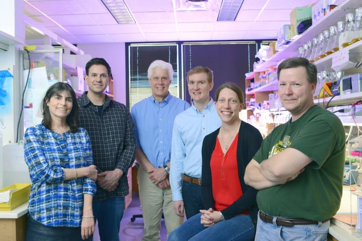 UT Southwestern Research Team