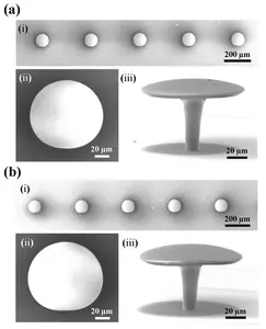 SEM images of microcavities