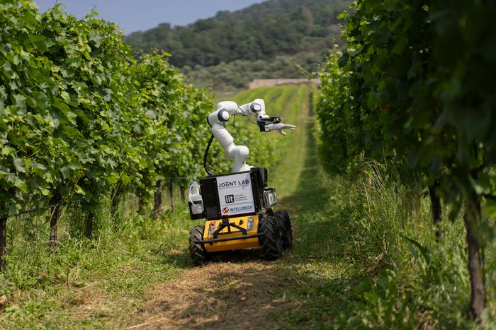 Frasky tested in a real vineyard