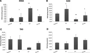 Statistical comparison of oxidative stress markers and antioxidant levels in the testicular homogenates of the rat groups