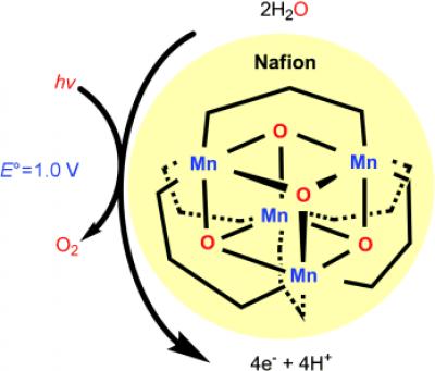 Photocatalyst
