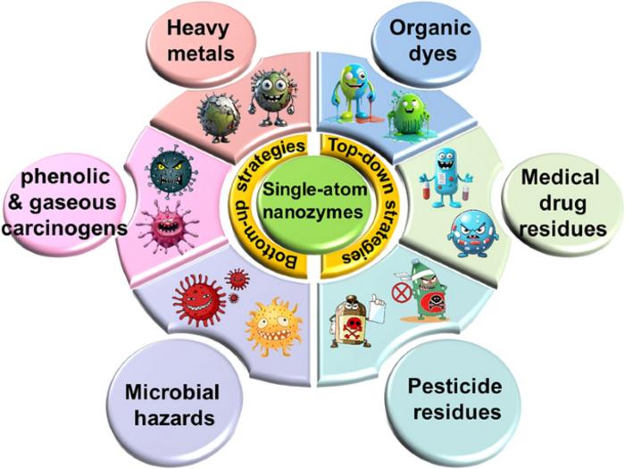 Exploring Single-Atom Nanozymes Toward Environmental Pollutants: Monitoring and Control