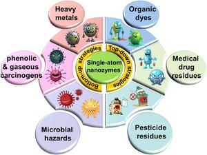 Exploring Single-Atom Nanozymes Toward Environmental Pollutants: Monitoring and Control