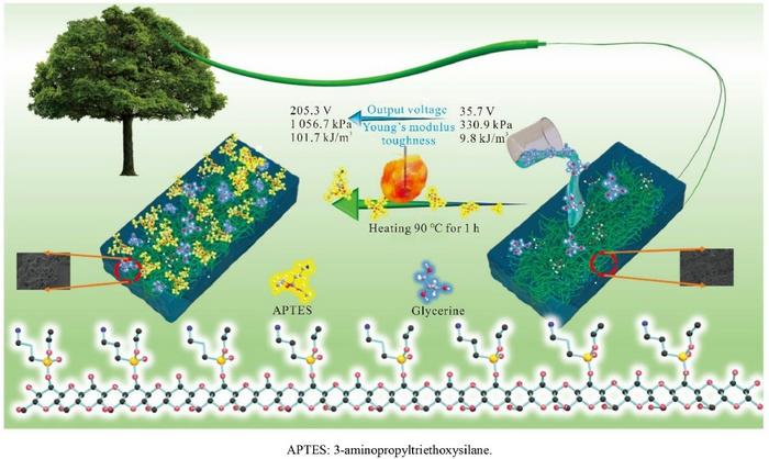 Surface amination modification of cellulose hydrogels for enhancing triboelectric performance of extreme environment-resistant triboelectric sensors