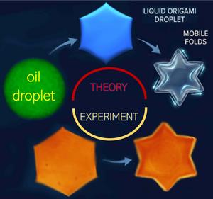 Liquid Origami: Scientists Create Microscopic Six-Pointed Stars from Tiny Droplets