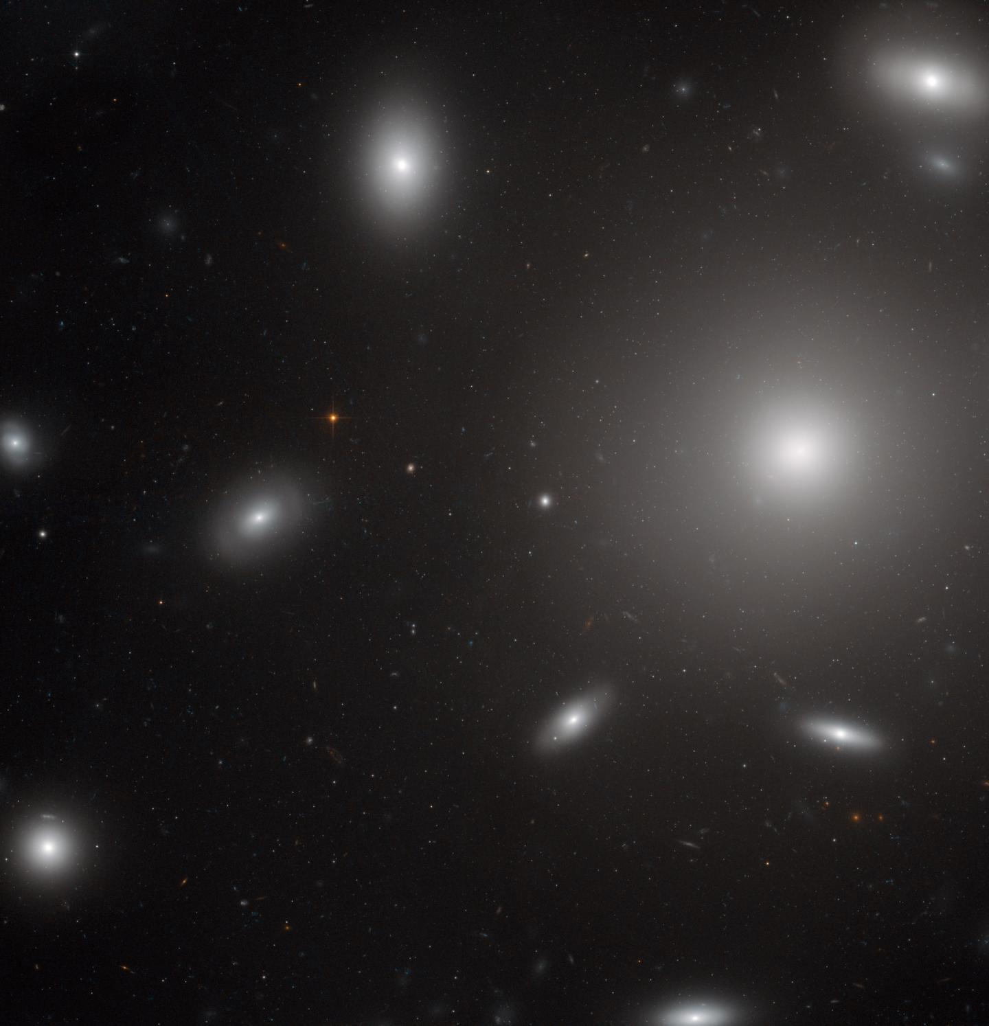 Hubble Catches Galaxies Swarmed by Star Clusters