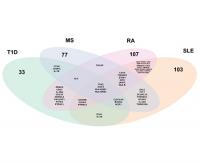 Shared Candidate Genes