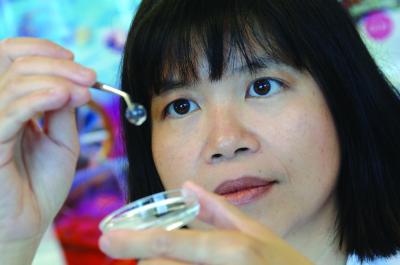 Biosynthetic Cornea (1 of 2)