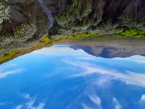 Kogelberg Nature Reserve, Western Cape, South Africa