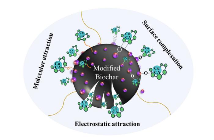 Enhanced adsorption of copper citrate complexes by ferromanganese oxide biochar from water: performance and mechanism