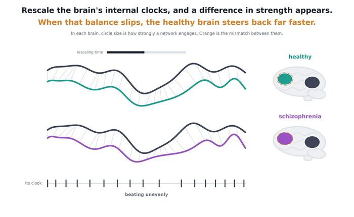 Georgia State Researchers Uncover Brain-Network Dynamics in Schizophrenia Georgia State Researchers Uncover Brain-Network Dynamics in Schizophrenia