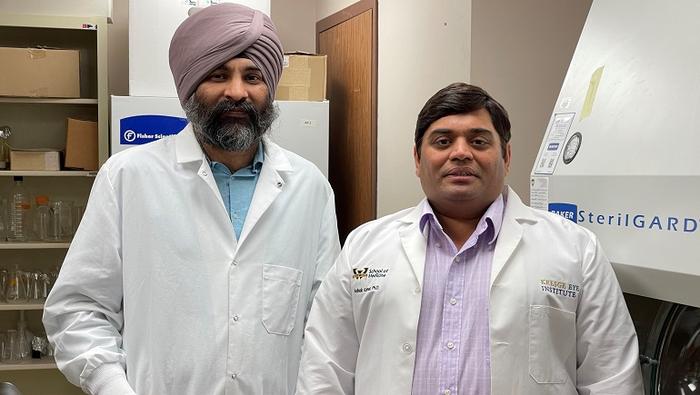 Dr. Sukhvinder Singh and Dr. Ashok Kumar, Wayne State University