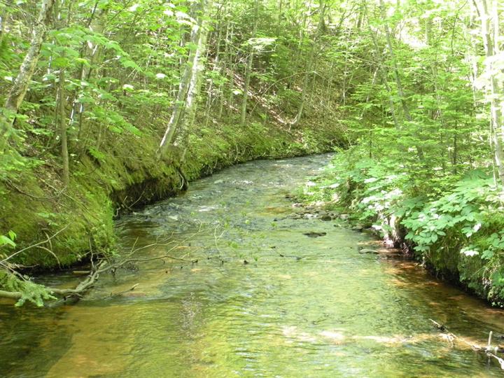 A US Stream
