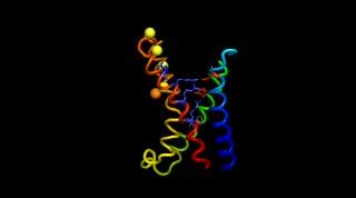 Molecule Movements that Make Us Think