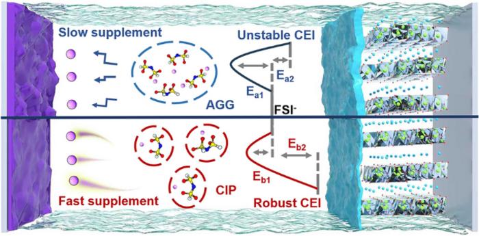 Anion–Diluent Decoupled Solvation Chemistry in Ionic Liquid‑Based Localized High‑Concentration Electrolytes Toward High‑Voltage Lithium Metal Batteries