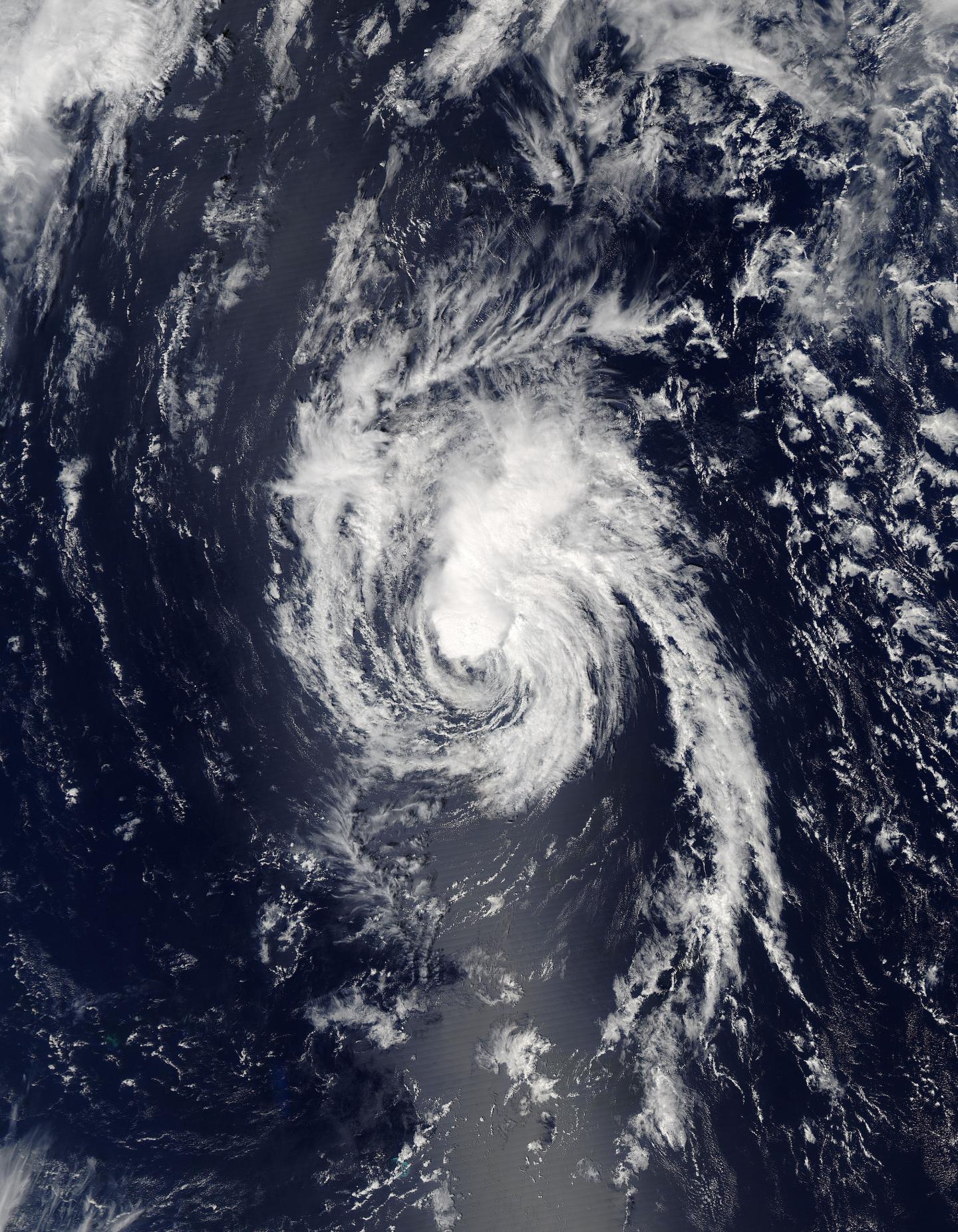 Aqua Image of Lester