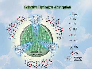 Solid–State Hydrogen Storage Materials with Excellent Selective Hydrogen Adsorption in the Presence of Alkanes, Oxygen, and Carbon Dioxide by Atomic Layer Amorphous Al2O3 Encapsulation