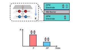 Interface-Controlled Antiferromagnetic Tunnel Junctions Offer New Path for Next-Gen Spintronics