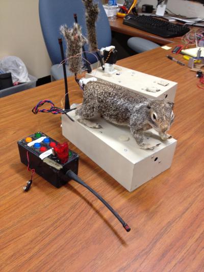 Robosquirrel