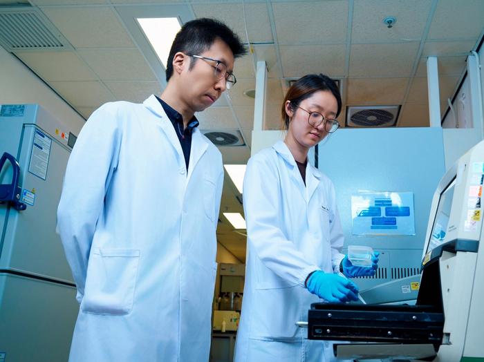 CityUHK research reveals modulating chromatin dynamics of H2B mutations, shedding lights on novel targeted therapy of breast cancer