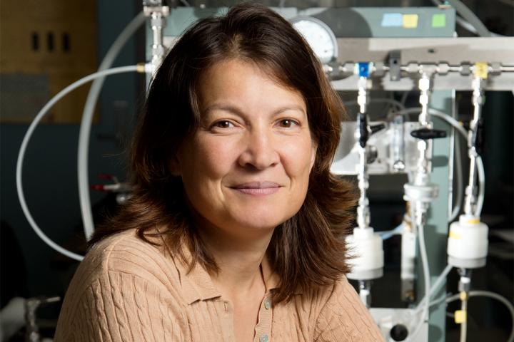Tami Bond, University of Illinois at Urbana-Champaign