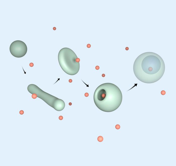Morphogenic colloids