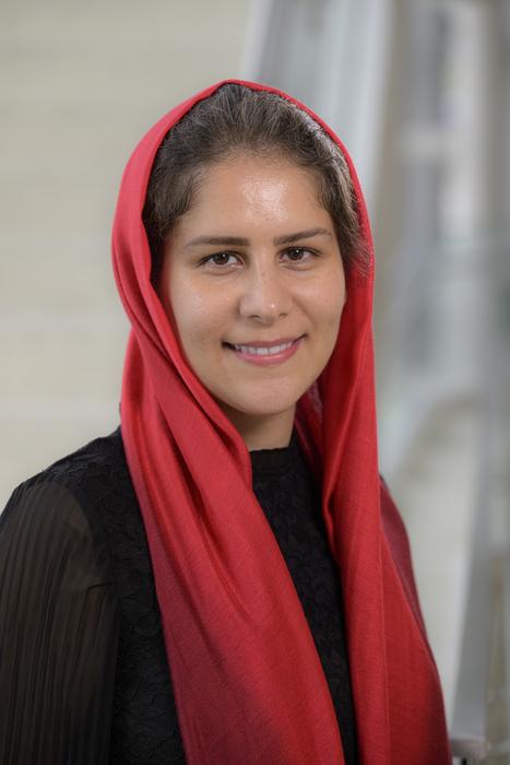 Toloo Taghian, PhD