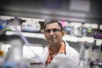 Breast cancer discovery could help stop disease's deadly spread