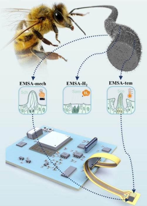 Figure 1. Schematic illustration of the electronic multifunctional sensing tentacle (EMSA) inspired by insect antennae.