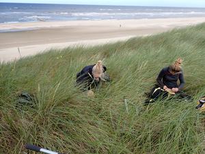 Vegetation survey in the dunes - photo Eva Lansu