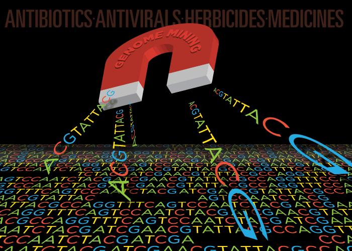 Genome Mining