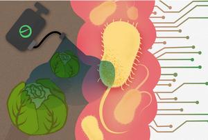 Machine learning predicts pesticide impacts on human gut bacteria