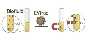EVtrap technology