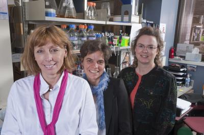 Jennifer Nyborg, Karolin Luger and Laurie Stargell, Colorado State University