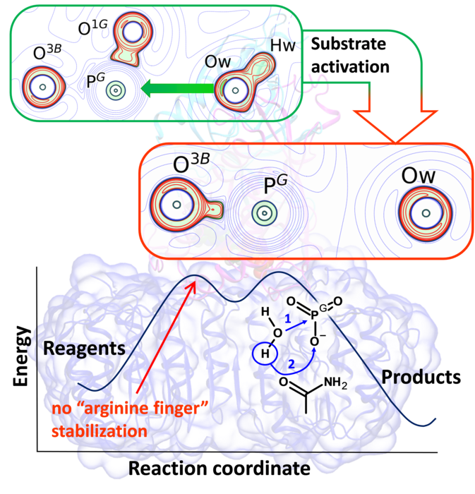 Graphical abstract