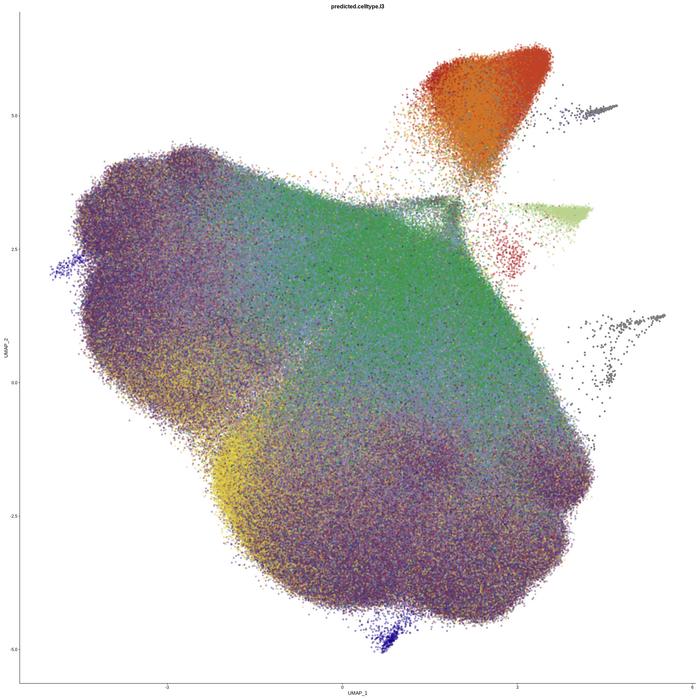 Mapping the immune system